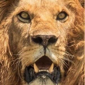 Meet your Posher, Ron